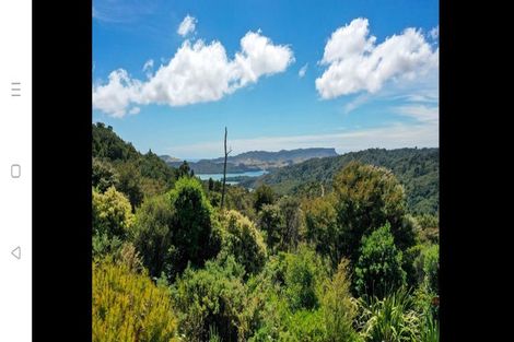 Photo of property in 425 Pakawau-bush Road, Pakawau, Collingwood, 7073