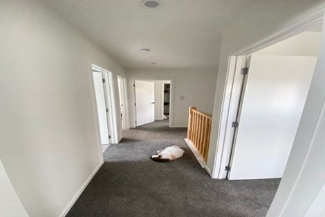 Photo of property in 34a Cassino Street, Bayswater, Auckland, 0622