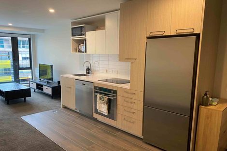 Photo of property in Vsp South, 601/166u Victoria Street, Te Aro, Wellington, 6011