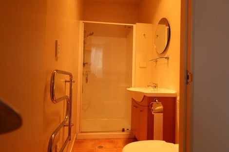 Photo of property in The Lofts, 185u3 Victoria Street, Te Aro, Wellington, 6011