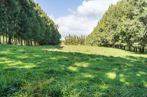 Photo of property in 486 Esdaile Road, Whakamarama, Tauranga, 3180