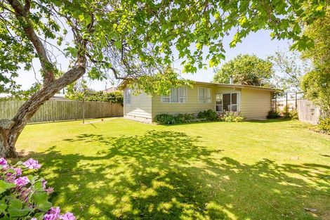 Photo of property in 49 Gemini Avenue, Milson, Palmerston North, 4414