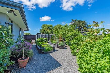 Photo of property in 48 Clausen Avenue, Leeston, 7632