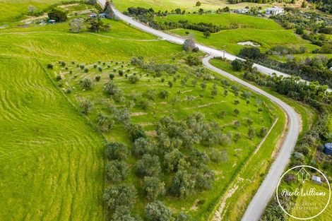 Photo of property in 297 Heatley Road, Whakapirau, Maungaturoto, 0583