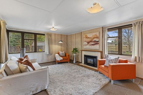 Photo of property in 30 Hassals Lane, Waltham, Christchurch, 8023