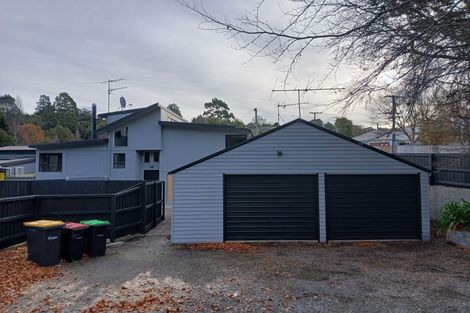 Photo of property in 162 Kaikorai Valley Road, Bradford, Dunedin, 9011
