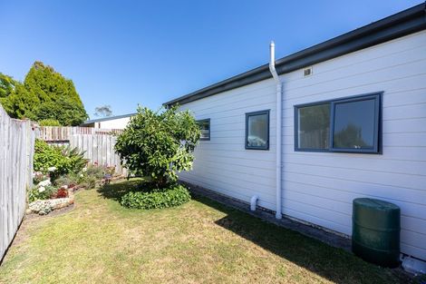 Photo of property in 3b Princess Street, Te Puke, 3119