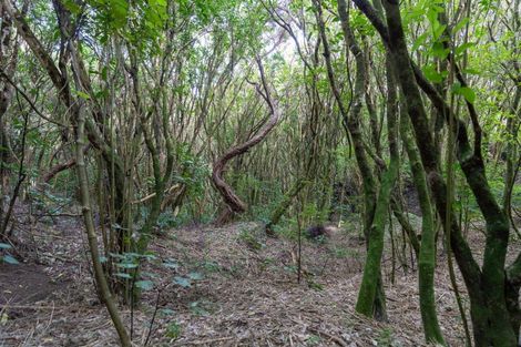 Photo of property in 3 Ridgeview Lane, Paraparaumu, 5032