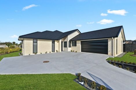 Photo of property in 20 Purser Crescent, Flagstaff, Hamilton, 3210