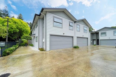 Photo of property in 42u1 Charlemont Street, Whitiora, Hamilton, 3200