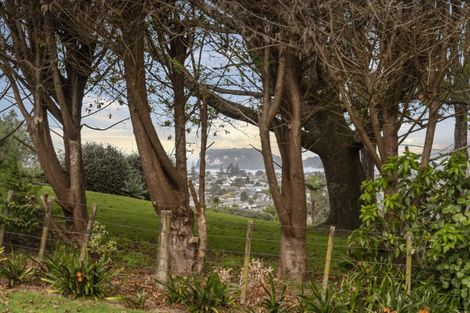 Photo of property in 10 Manuka Drive, Whangamata, 3691