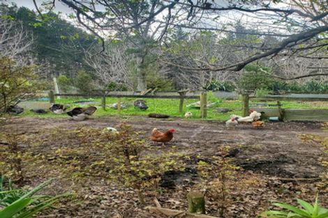 Photo of property in 482 Krippner Road, Puhoi, Warkworth, 0994