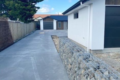 Photo of property in 19a Trafalgar Street, Levin, 5510