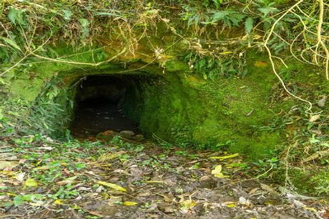 Photo of property in 42 Tirohanga Road, Kawakawa, 0282