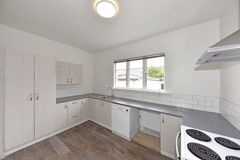 Photo of property in 131 Bordesley Street, Phillipstown, Christchurch, 8011