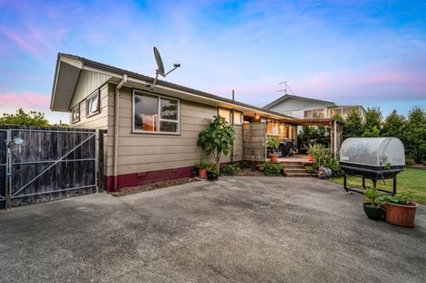 Photo of property in 7 Hindmarsh Street, Henderson, Auckland, 0612