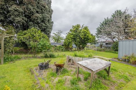 Photo of property in 17 Devon Street, Levin, 5510