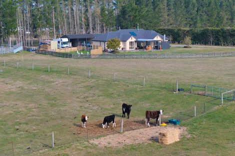 Photo of property in 153 Birch Hill Road, Okuku, Rangiora, 7473
