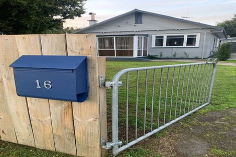 Photo of property in 16 Hinau Street, Maeroa, Hamilton, 3200