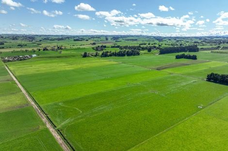 Photo of property in 1678 Kimbolton Road, Cheltenham, Feilding, 4777