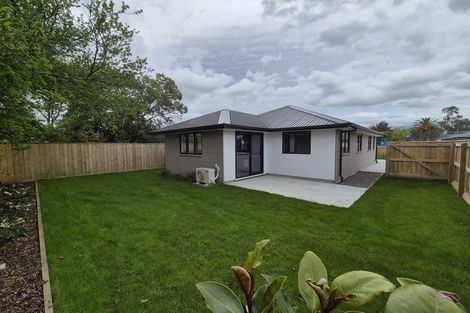 Photo of property in 22a Sussex Street, Masterton, 5810