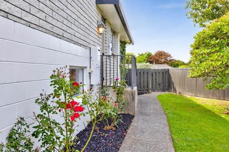 Photo of property in 18 Oberon Street, Stratford, 4332