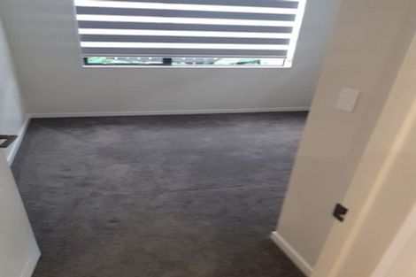 Photo of property in 45 Drumnaconagher Road, Flat Bush, Auckland, 2019