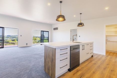 Photo of property in 44b Mangatarata Road, Waipukurau, 4285