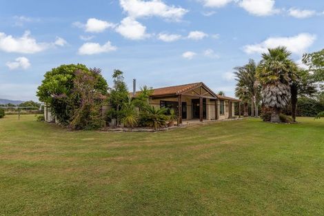 Photo of property in 65 Pohutukawa Drive, Levin, 5571