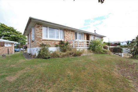 Photo of property in 101 Manaia Street, Tokoroa, 3420