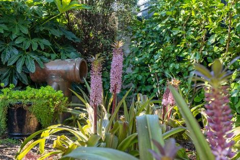 Photo of property in 8 Petrel Close, Paraparaumu Beach, Paraparaumu, 5032