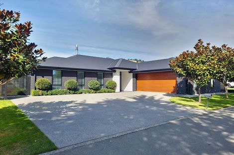 Photo of property in 243 Taylor Pass Road, Witherlea, Blenheim, 7201