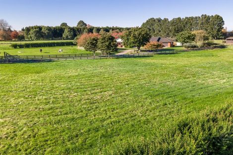 Photo of property in 310 Mystery Creek Road, Ohaupo, 3881
