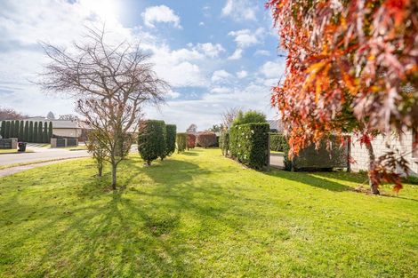 Photo of property in 25 Mckenzie Place, Matamata, 3400