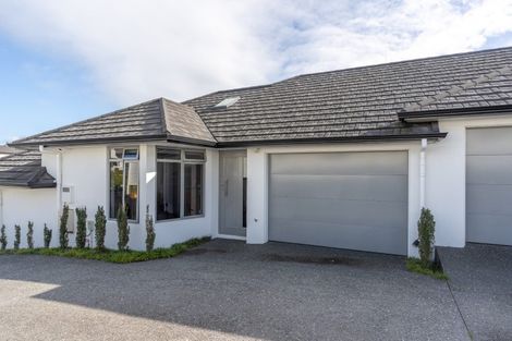 Photo of property in 17u2 Manning Street, Hamilton Central, Hamilton, 3204