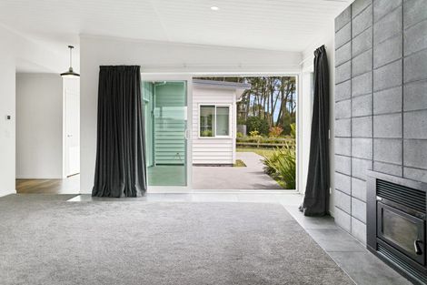 Photo of property in 64 John Norrie Place, Motuoapa, Turangi, 3382