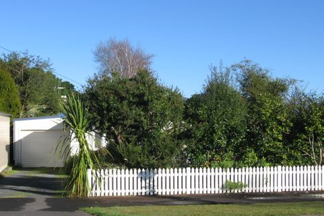 Photo of property in 43 Graham Street, Hamilton East, Hamilton, 3216