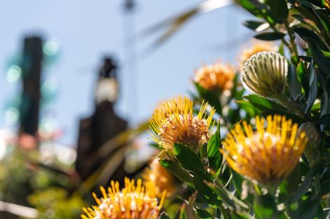 Photo of property in 18 Takahe Drive, Paraparaumu Beach, Paraparaumu, 5032