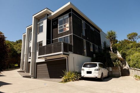 Photo of property in 8/114 Mitchell Street, Brooklyn, Wellington, 6021