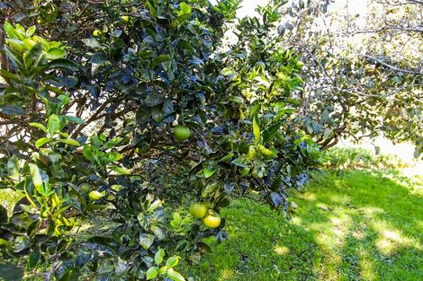 Photo of property in 288 Valley Road, Kaiwaka, 0573