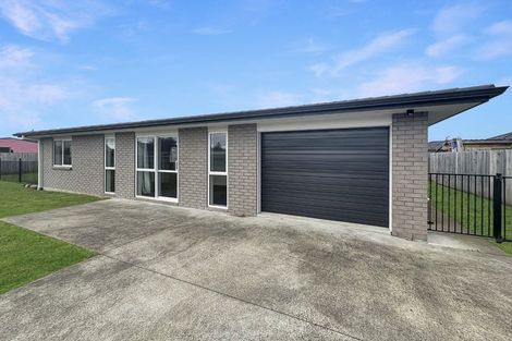 Photo of property in 90 Hinemoa Street, Levin, 5510