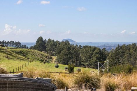Photo of property in 349a Whakamarama Road, Whakamarama, Tauranga, 3179