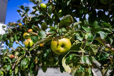 Photo of property in 17 Oram Drive, Turitea, Palmerston North, 4472