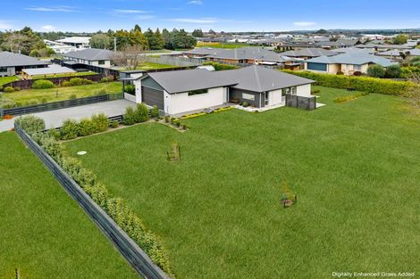 Photo of property in 3 Aberdeen Place, Amberley, 7410