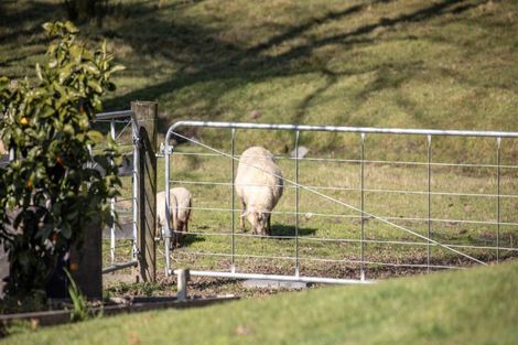 Photo of property in 29c Pheasant Close, Rotokauri, Hamilton, 3289