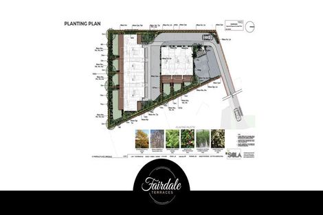 Photo of property in 2/13 Fairdale Place, Birkdale, Auckland, 0626