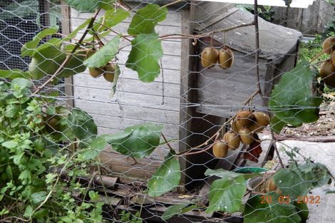 Photo of property in 45 Elbourne Street, Taradale, Napier, 4112