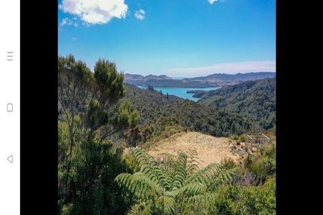 Photo of property in 425 Pakawau-bush Road, Pakawau, Collingwood, 7073