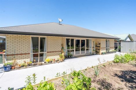 Photo of property in 8 Rochford Court, Hamilton East, Hamilton, 3216