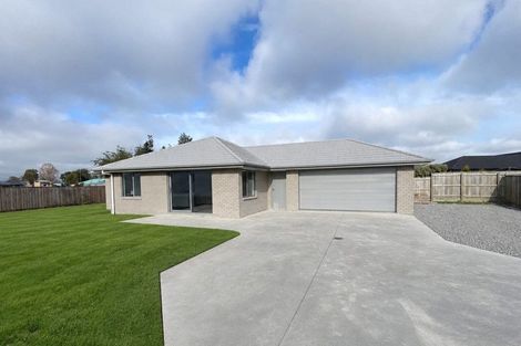 Photo of property in 243c High Street, Solway, Masterton, 5810